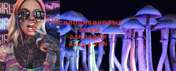 соль ск Аркадак